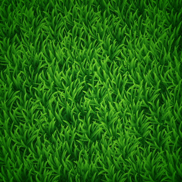 600x600 How To Create Vector Grass Background In Adobe Illustrator