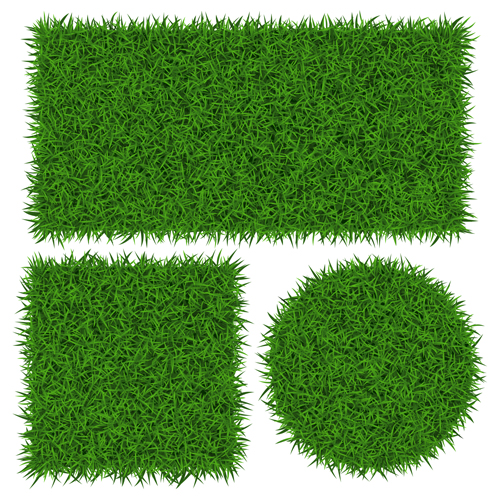 500x500 Vector Banner Green Grass Design Free Download