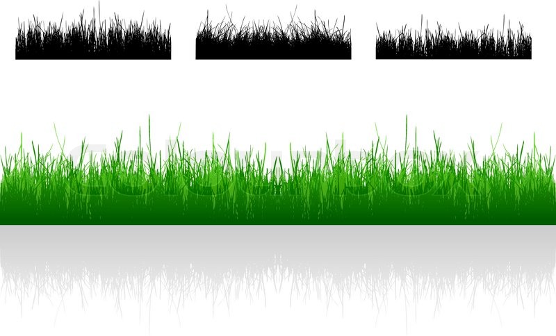 800x484 Vector Grass Pattern Stock Vector Colourbox