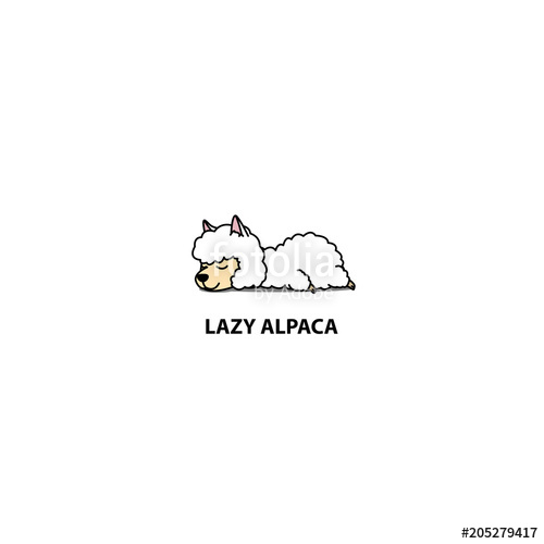 500x500 Lazy Alpaca Sleeping Icon, Logo Design, Vector Illustration Stock