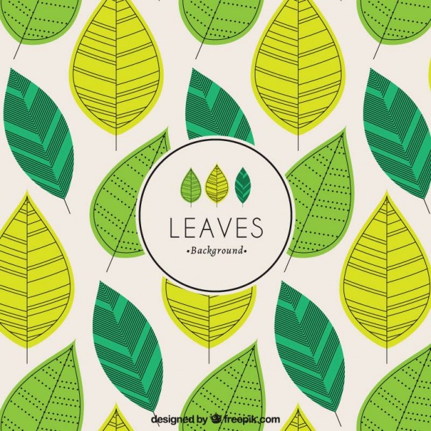 626x626 Green Leaves Background Vector Free Download