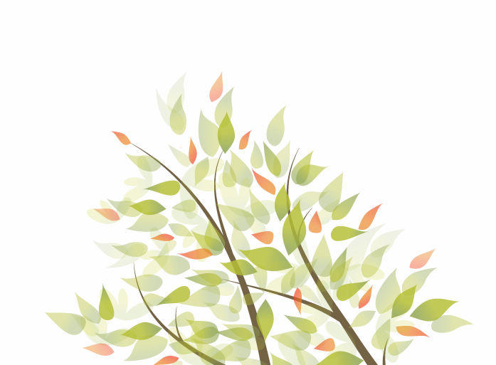 697x513 Tree Branches Leaves Background