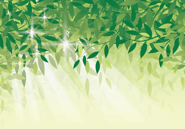 700x490 Fresh Green Leaf Background
