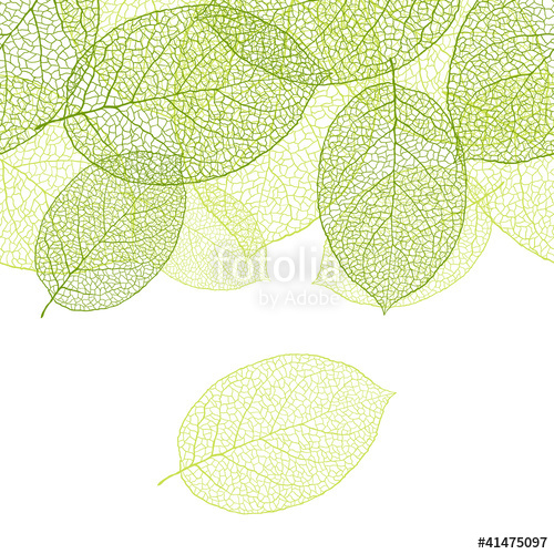 500x500 Fresh Green Leaves Background