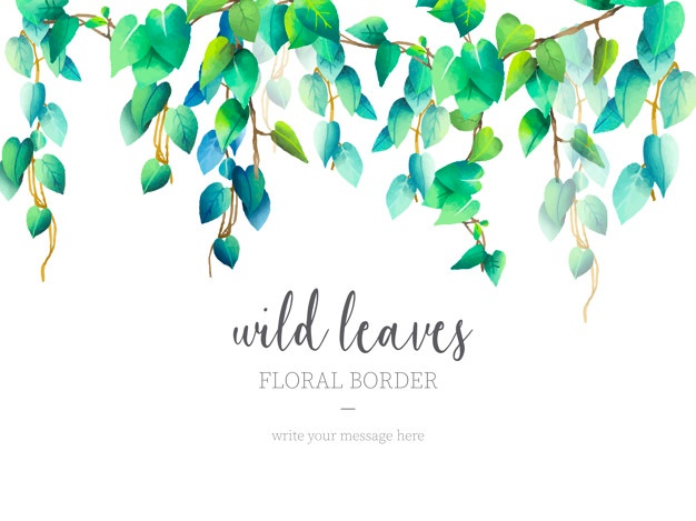 626x469 Green Leaf Border Vectors, Photos And Psd Files Free Download