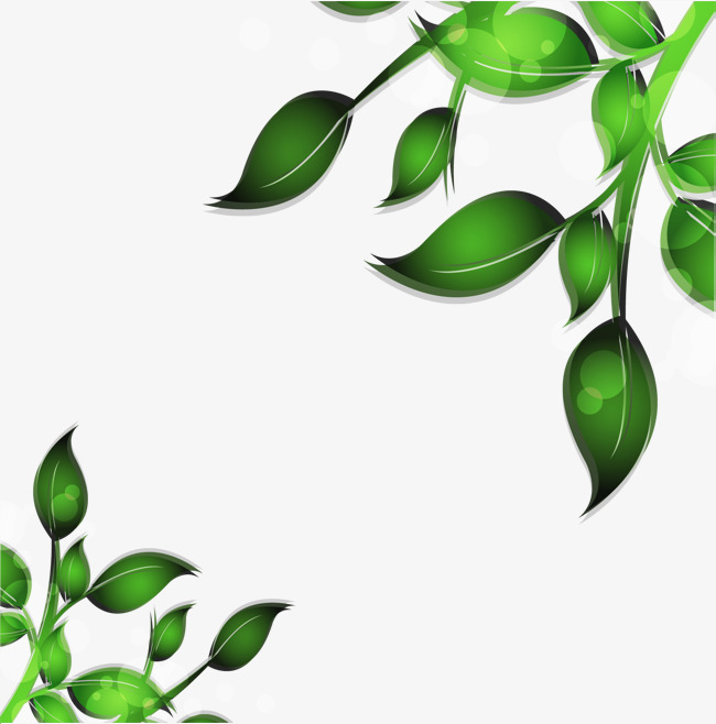 650x658 Vector Hand Painted Green Leaf Border, Vector, Hand Painted, Green