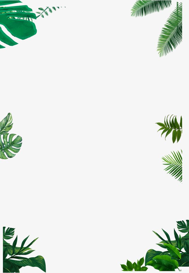 650x939 Simple Border,green,vector Border,leaf Border,small Fresh Style