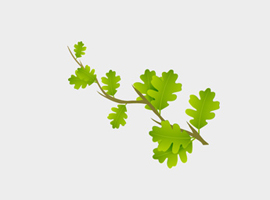 270x200 Free Leaf Vector Graphics