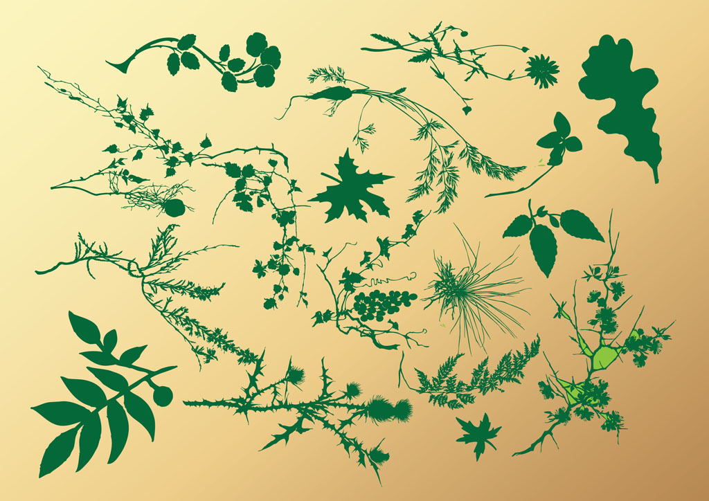 1024x724 Leaf And Branch Collection