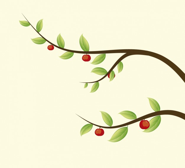626x569 Branches Vectors, Photos And Psd Files Free Download