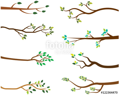 500x400 Vector Set Of Tree Branches With Green Leaves Stock Image And