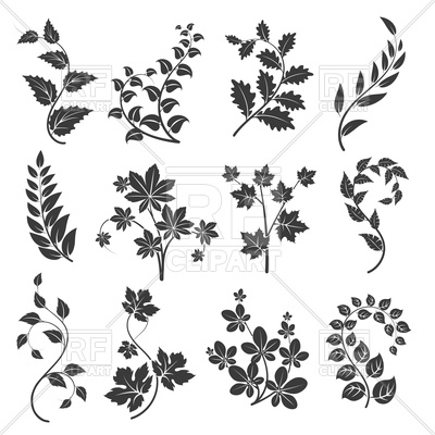 400x400 Curly Branches Silhouettes With Leaves Vector Image Vector