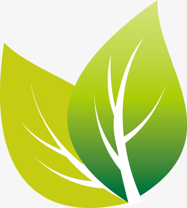 650x722 Green Leaves Green Icon Vector Creative, Greenery, Green Leaves