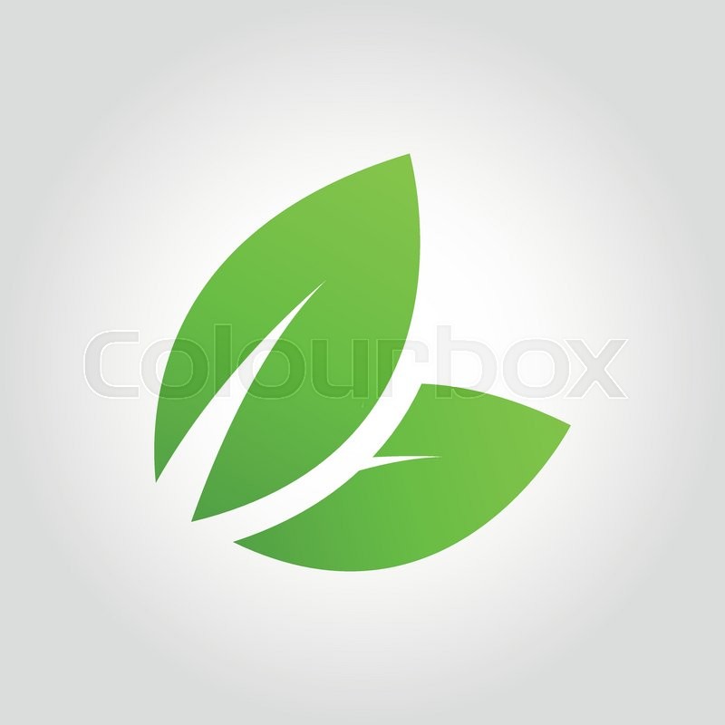 800x800 Vector Green Eco Leaf Icon On Grey Bacground. Flat Leaves Icon