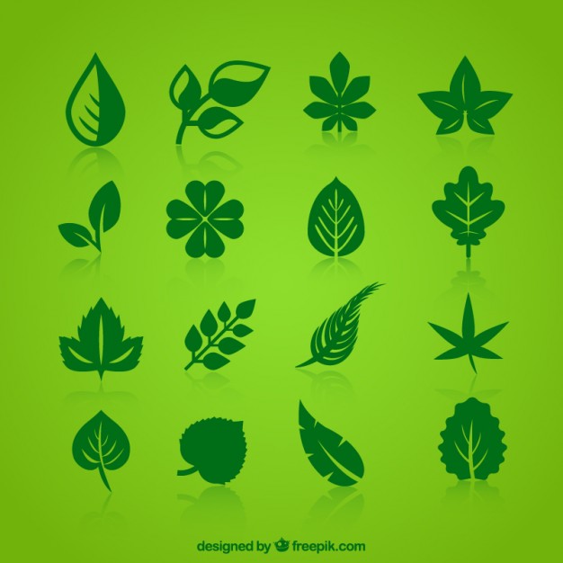 626x626 Collection Of Green Leaves Icons Vector Free Download