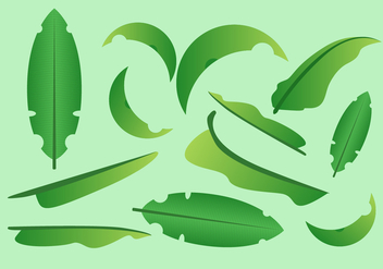 352x247 Free Banana Leaf Vector Illustration Free Vector Download 339397