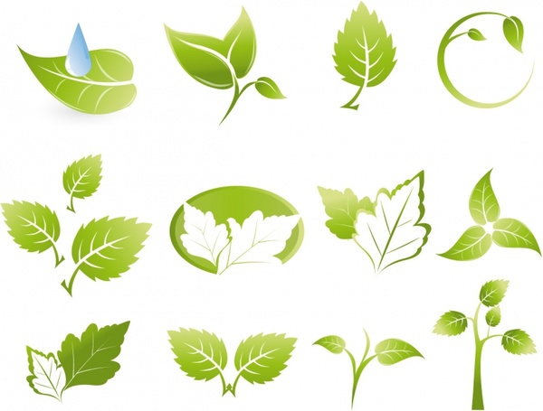 600x455 Green Leaf Icons Free Vector In Adobe Illustrator Ai ( .ai
