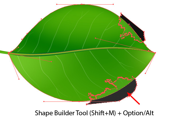 600x436 How To Create Realistic Vector Leaves In Illustrator
