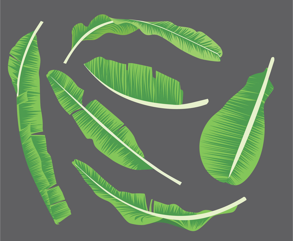 1136x936 Banana Leaf Illustration Vector Vector Art Amp Graphics