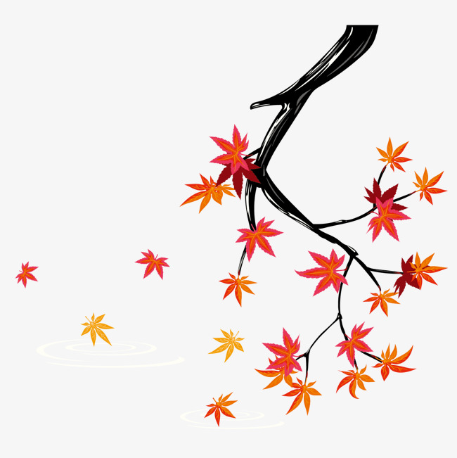 650x651 Maple Leaf Illustrations In Japanese Style, Maple Leaves, Solar