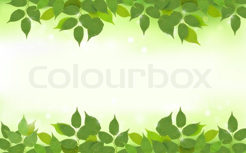 800x496 Nature Background With Green Fresh Leaves Vector Illustration