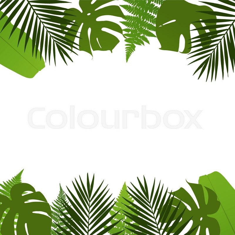 800x800 Tropical Leaves Background With Palm,fern,monstera And Banana