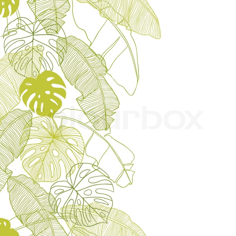 800x800 Vector Illustration Leaves Of Palm Tree Seamless Pattern Stock
