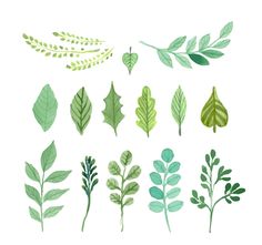 236x221 Free Graphic Design Green Leaf Design Elements Free Vector