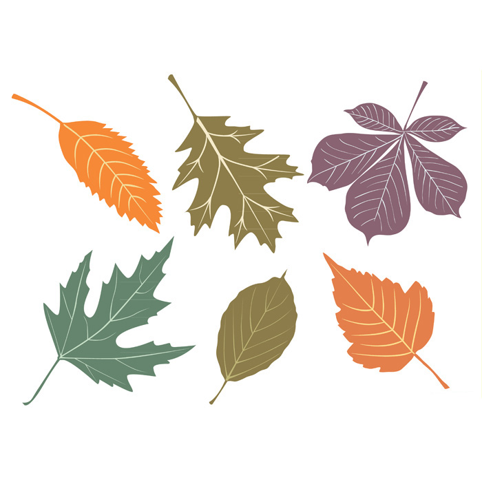 700x700 Bytedust Lab Vector Amp Design This Free Vector Autumn Leaves Set