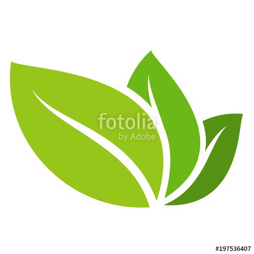 500x500 Eco Icon Green Leaf Vector Illustration Isolated. Stock Image And