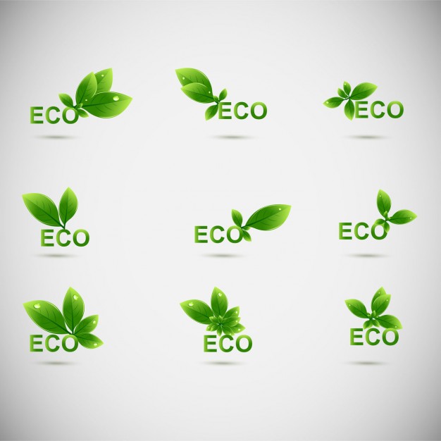 626x626 Leaf Logo Vectors, Photos And Psd Files Free Download