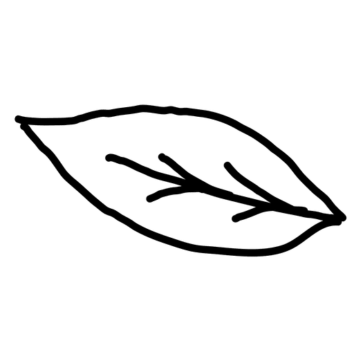 512x512 Leaf Outline