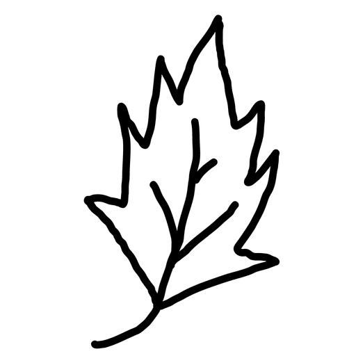 512x512 Leaves Outline