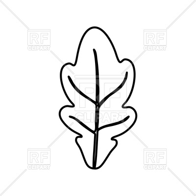 400x400 Oak Leaf Outline On White Background Vector Image Vector Artwork