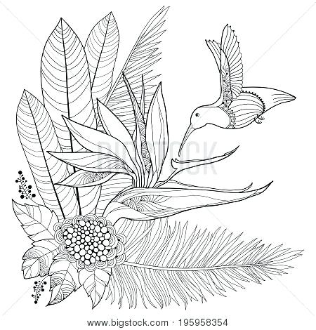 450x470 Palm Leaf Outline Vector Flying Hummingbird Or Palm Leaf In