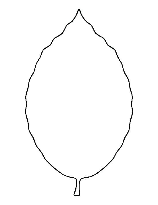 550x712 Oak Leaf Outline Amazing Billtab