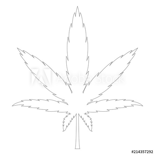 500x500 Cannabis Leaf Outline. Vector.
