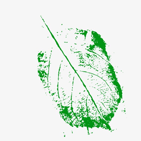 567x567 Green Leaf Texture, Green Vector, Leaf Vector, Texture Vector Png