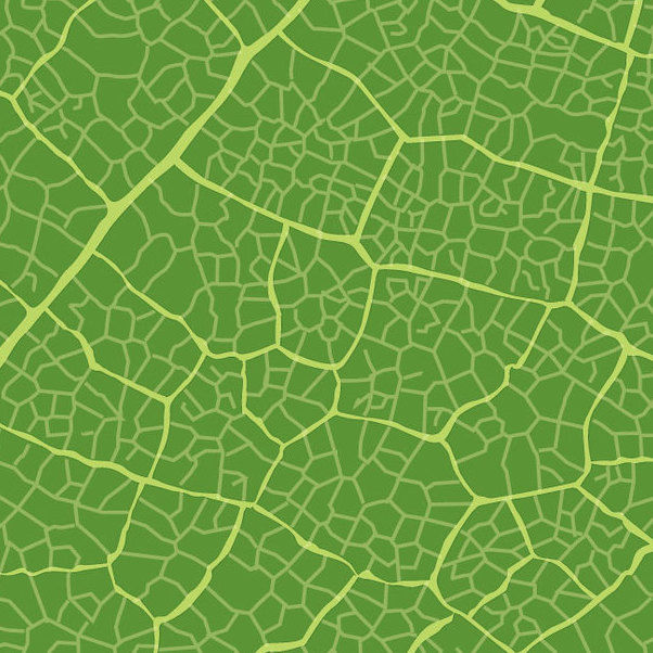 602x602 Green Leaf Texture Free Vector Download 341123 Cannypic