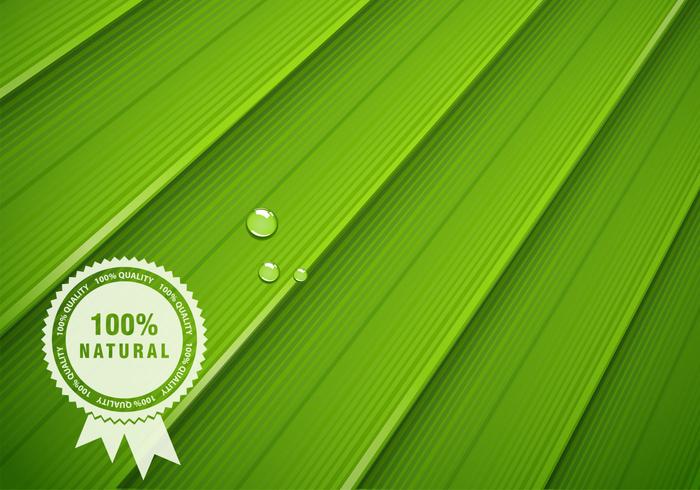 700x490 Green Leaf Vector Texture