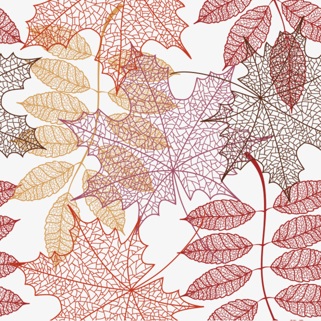 650x651 Leaf Texture, Defoliation, Fall Png And Vector For Free Download