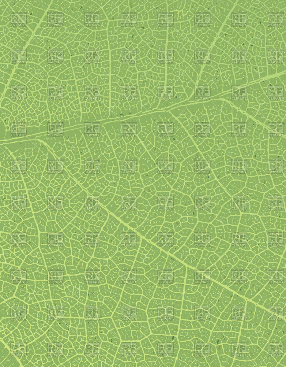 934x1200 Leaf Texture Vector Image Vector Artwork Of Backgrounds