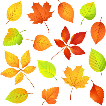 368x368 Leaf Texture Vector Free Vector Download (10,489 Free Vector) For
