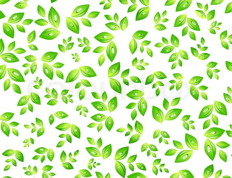 800x615 Leaf Vector Texture Stock Vector Colourbox