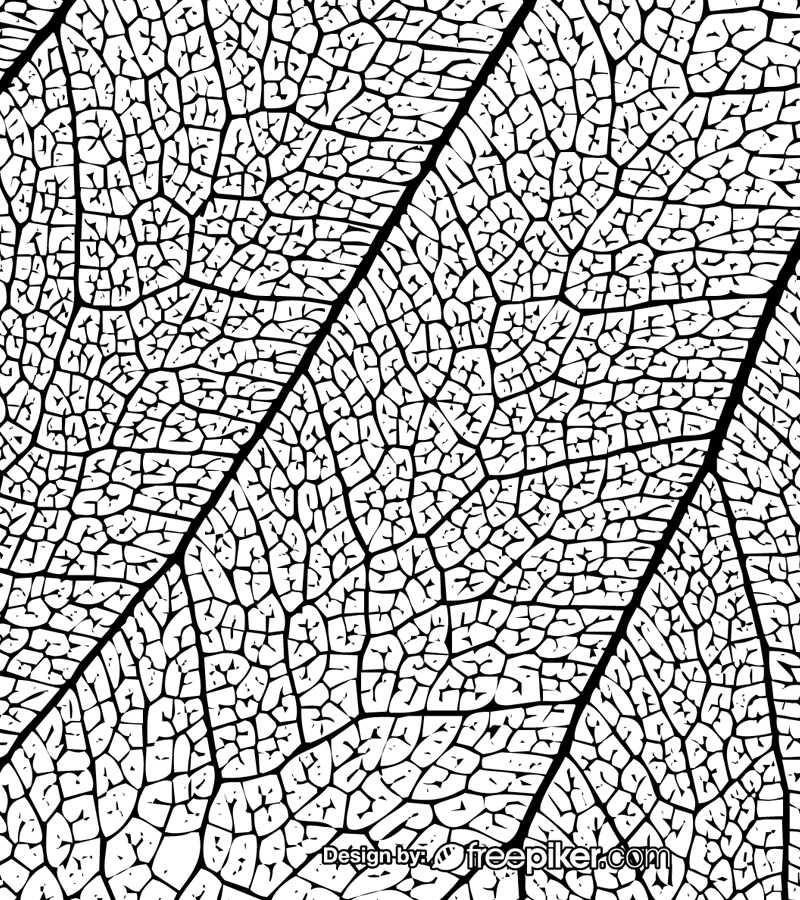 800x900 Freepiker Leaf Texture Black White Background