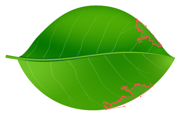 600x382 How To Create Realistic Vector Leaves In Illustrator