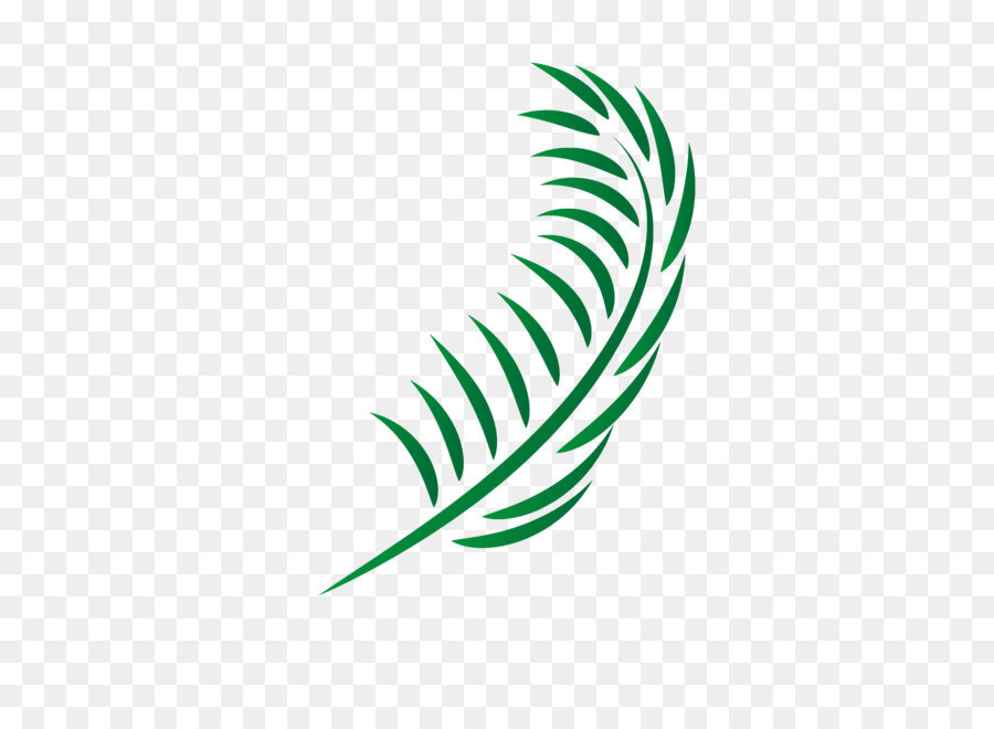 900x660 Leaf Euclidean Vector