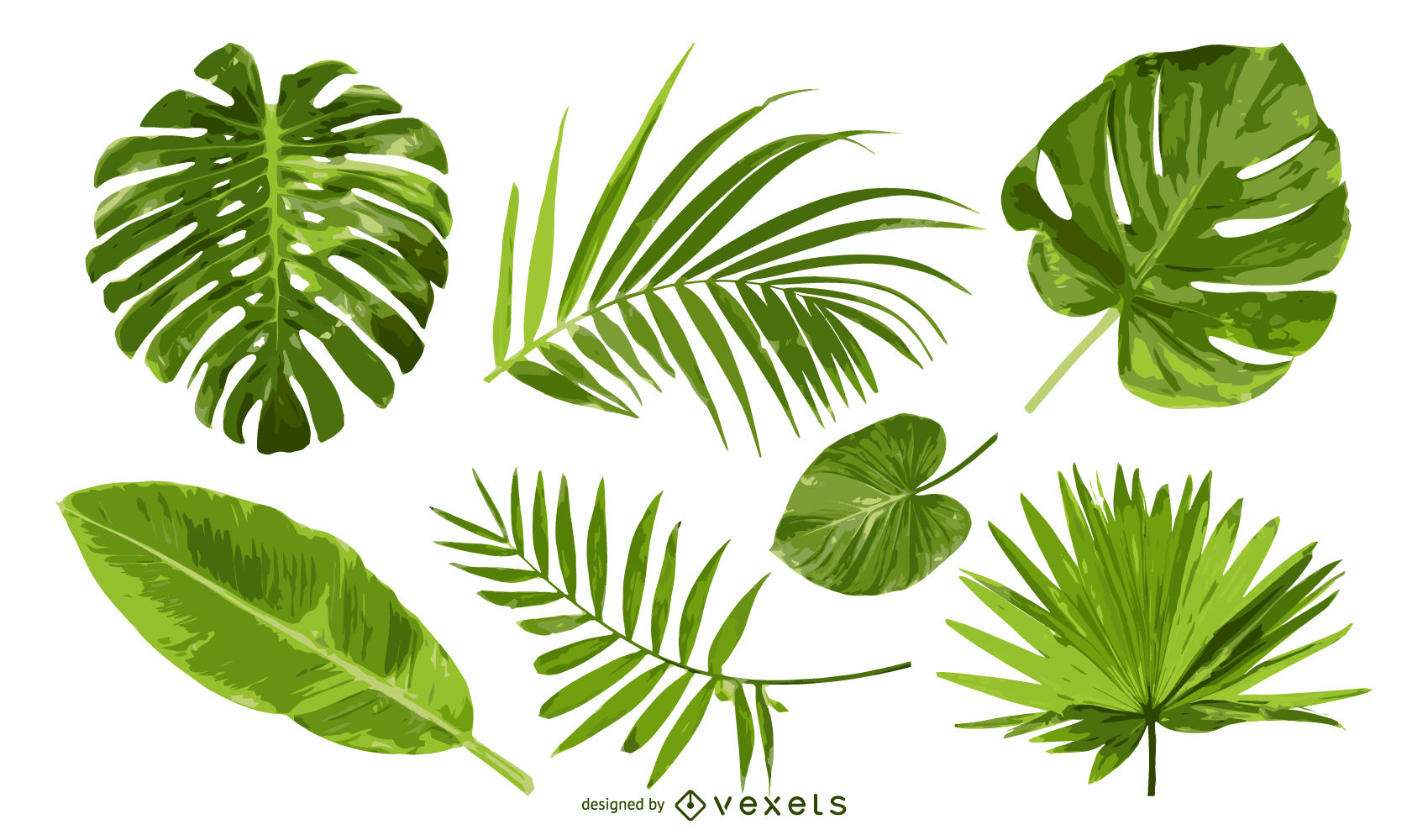 1700x1000 Leaf Vector Amp Graphics To Download