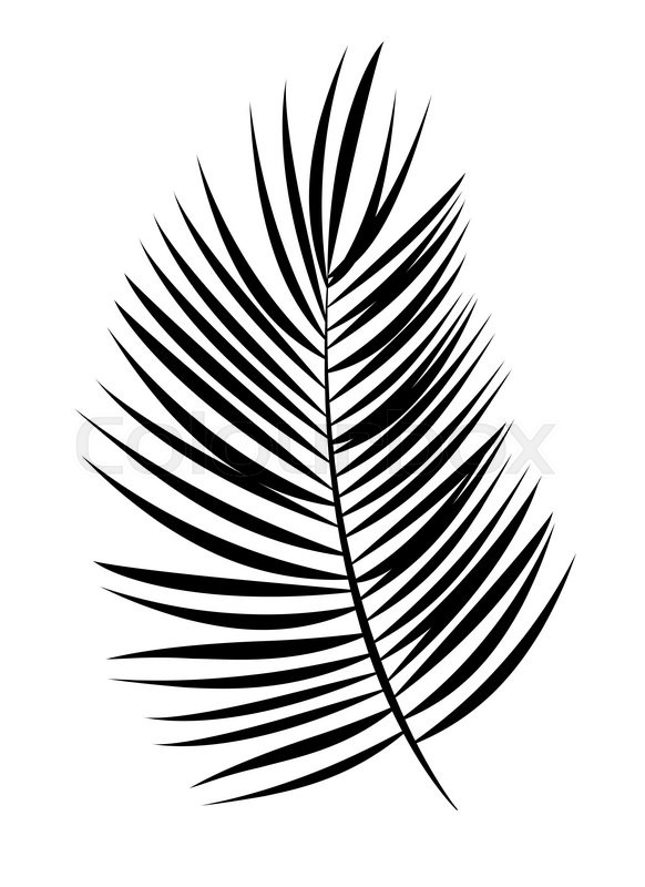 582x800 Palm Leaf Vector Background Isolated Illustration Eps10 Stock