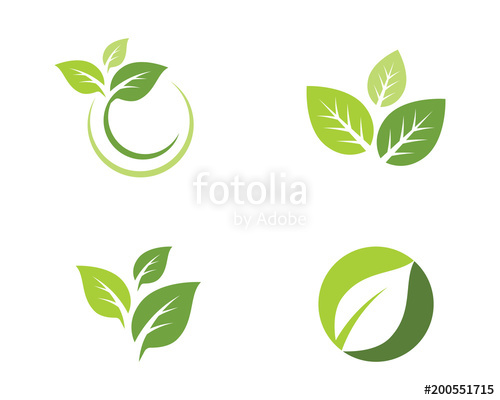 500x400 Tree Leaf Vector Icon Template Stock Image And Royalty Free